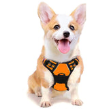 13 x Brand New Supet Dog Harness Adjustable Anti Pull Harness Reflective Breathable Harness Dogs Lightweight Chest Harness Made of Nylon Oxford for Large Medium and Small Dogs - RRP €298.22