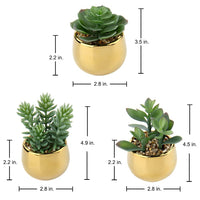 1 x RAW Customer Returns 3 PCS Artificial Plant Succulents Artificial Spring Decoration Indoor Plants Artificial Flowers in Ceramic Pot Decoration Living Room Garden Balcony Bedroom Bathroom - RRP €31.83