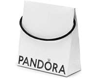 1 x RAW Customer Returns PANDORA Eco-friendly packaging set bag and bracelet box 1  - RRP €11.0