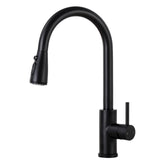 1 x RAW Customer Returns DJS Kitchen Faucet Black Extendable, Kitchen Mixer Tap for Sink, Kitchen Faucet with Dual Function Sprayer, Matte Black - RRP €59.99