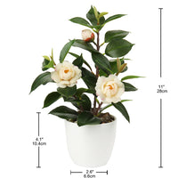 1 x RAW Customer Returns Briful Artificial Houseplant Camellia Artificial Plant Camellia Japonica in Plastic Pot Decorative Silk Flowers Camellia Artificial Flowers for Home Hotel Decoration - RRP €19.15