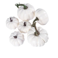 2 x Brand New Holibanna Foam Pumpkins White Artificial Styrofoam Pumpkins for Halloween Thanksgiving Props 12pcs - RRP €40.8