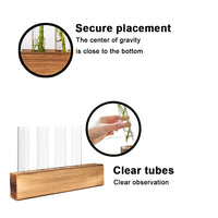 7 x Brand New Small Vases Decoration Set - Test Tube Vase with 5 Holes for Hydroponic Plants, Garden Gifts for Women, Gardening Gift Propagation Station, Gift Ideas for Girlfriend, Sister, Wife, Mother s Day - RRP €70.49