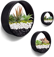 1 x RAW Customer Returns JonesHouseDeco Metal Hanging Wall Vase Wall Mounted Geometric Wall Planter Planter Vertical Plant Container for Succulents, Cacti, Herbs and More Black 5cm Thick  - RRP €34.99