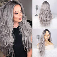 1 x RAW Customer Returns ColorfulPanda Wig Gray Women s Ombre Silver Gray Long Curly Natural Synthetic Hair Wigs for Women, Everyday Cosplay Costume Party Halloween Gray Wig 26 Inches - RRP €27.18