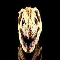 1 x RAW Customer Returns VOANZO Resin Velociraptor Skull Model Replica, Dinosaur Tooth Skull Fossil, Photography Props Teaching Tool Home Ornament - RRP €40.99