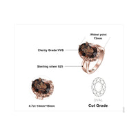 1 x RAW Customer Returns JewelryPalace Oval 5.7ct Real Smoky Quartz Solitaire Ring Women, Giant Gemstone Jewelry Set, Ring Silver 925 Women s Ring Stone, Cocktail Ring Silver 925 Silver Rings Women Rings Women Rose Gold 60 - RRP €33.49