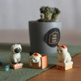 2 x Brand New YGCHEN Cat Figures Cake Decoration Mini Figures Cats Birthday Miniature Animals Cake Figures Cat Ornament Children s Birthday Cake Decoration Figures for Desktop Resin Miniature Garden Toy 6 Pieces - RRP €40.8