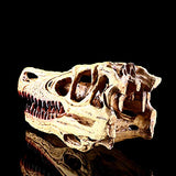 1 x RAW Customer Returns VOANZO Resin Velociraptor Skull Model Replica, Dinosaur Tooth Skull Fossil, Photography Props Teaching Tool Home Ornament - RRP €40.99