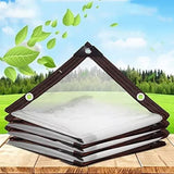 1 x RAW Customer Returns BCBIG tarpaulin waterproof transparent with eyelets, tarpaulin garden furniture, can be used outdoors rainproof, plant insulation, furniture dustproof, with binding rope - 2x2m - RRP €18.14