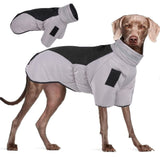 1 x Brand New NEVYTOL XL-6XL Small Dog Coat, Keep Warm Padded Dog Coat, Dog Coat and Reflective Tape Suitable for Dogs to Keep Warm in Winter - RRP €20.99