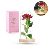 2 x RAW Customer Returns Beauty and the Beast Rose, Forever Red Rose with Light Enchanted Silk Rose in Dome, Never Fade Rose Gift for Mother s Day, Anniversary, Birthday, Valentine s Day, Room Decoration - RRP €45.98