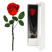 1 x RAW Customer Returns FARYODI Eternal Rose Red with Stem - Real Preserved Rose in Premium Gift Box, Lasts 3-5 Years, for Wife, Girlfriend, Grandma, Valentine s Day, Christmas, Mother s Day, Birthday, Wedding Anniversary, Anniversary Red - RRP €22.18