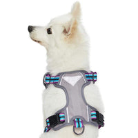 1 x Brand New Blueberry Pet Dog Collar Multicolored Geometric Squares Polyester Fabric Strap and Soft Genuine Leather, Small Size S , Neck Circumference 30cm-38cm, Adjustable Collars for Dogs - RRP €16.8