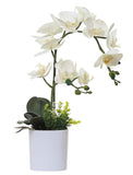 1 x RAW Customer Returns Olrla 43cm White Artificial Orchid Flower in White Pot, Artificial Flower Phalaenopsis with Planter for Home, Office, Wedding Decoration - RRP €23.59