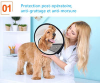 9 x Brand New LATRAT Anti-bite Collerette Cone Protection for Dog Cat, Refrigerable Cone Protection, Animals Used for Surgery or Re-education XL  - RRP €162.0