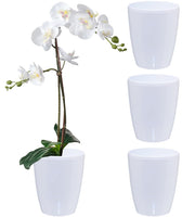 1 x RAW Customer Returns Santino set of 4 orchid pots D 15cm self-watering pot with wick system and water level indicator for indoor use - White - 2L - RRP €29.62