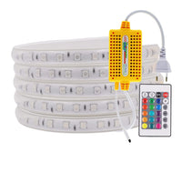 1 x RAW Customer Returns LED Strip Lights 220V 5050 SMD 60LEDs m Multicolor RGB LED Strip with 24 Keys Remote Control IP65 Waterproof Flexible Magic Dream Silicone for Party Christmas Decoration 4m  - RRP €20.4