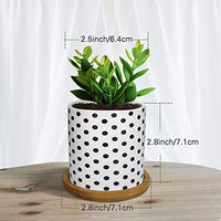 1 x RAW Customer Returns Lewondr Ceramic Succulent Pots, 4 Pieces 7 cm Cactus Plant Pots Mini Flower Pots Set with Bamboo Saucers, Decorations - Geometric Pattern Series 02, Black White - RRP €23.59