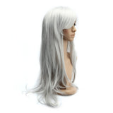 1 x RAW Customer Returns Dazone 70cm Carnival Wig Gray. Long full cosplay, curly wavy fashion costumes women s hairpiece wig for everyday life, party, Halloween, Christmas - RRP €16.13