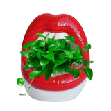 1 x Brand New Tiamu Creative Succulent Cactus Pot, Ceramic Small Flower Plant Containers, Sexy Big Lips Planter for Home Office, Red - RRP €19.2