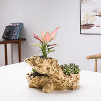 1 x RAW Customer Returns Yanmilia Driftwood Flower Pot Vintage Sculpture Resin Succulent Plant Pot Rustic Artificial Stump Cactus Flower Pot Decorative Plant Pot for Home Garden Style I  - RRP €33.26