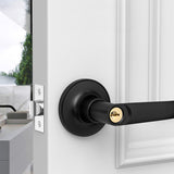 1 x RAW Customer Returns Qrity Round Door Handle Combination Set, Privacy Door Lever, Door Handle Entrance Lock, For Exterior and Front Doors Lever Door Handle, Locks for Bathroom Entrance-Black - RRP €18.83