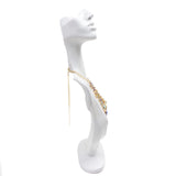 1 x RAW Customer Returns Homeanda Mannequin Bust Stand Organizer White Resin Earrings Jewelry Photo Prop for Necklaces Great Gift - RRP €28.1