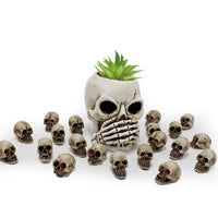 1 x RAW Customer Returns Mini Skull Set, 20 Pieces Halloween Skull Head Decoration, Resin Skull Skeleton Mini Skull Figure Flower Pot Skull Decoration for Halloween and Horror Party - RRP €12.7