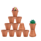 3 x Brand New Terracotta Flower Pots with Saucer - Clay Flower Pots with Drainage Ideal for Plants, Crafts, Wedding Gifts 2 inch Brown - RRP €55.38