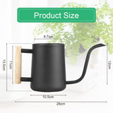 2 x RAW Customer Returns LAISHUNHE Indoor Plant Watering Can 1L Watering Can for Potted Plants Stainless Steel Watering Can with Long Spout and Wooden Handle Watering Can for Indoor Plants, Home, Flowers Black  - RRP €44.66