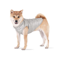 3 x Brand New BT Bear Dog Winter Coat with D-Ring, Super Lightweight Small Dogs Warm Coat Zipper Waterproof Pet Cat Warm Jacket for Small Medium Dogs L, Silver  - RRP €61.2