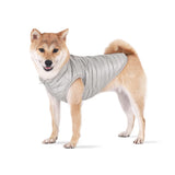 3 x Brand New BT Bear Dog Winter Coat with D-Ring, Super Lightweight Small Dogs Warm Coat Zipper Waterproof for Pets Cats Puppy Small Dogs XS, Silver  - RRP €61.2