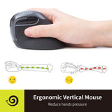 1 x RAW Customer Returns DeLUX Ergonomic Mouse Wireless Mini Vertical Mouse Silent Click Dual Mode 2.4G BT 6 Buttons 4000 DPI for Carpal Tunnel for Computer Laptop PC Mac M618MINI DB-Iron Gray  - RRP €36.22