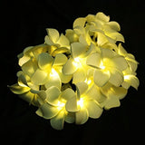 1 x RAW Customer Returns LEDMOMO 20 LED Frangipani Flower String Lights Battery Operated Warm White Light - RRP €19.09