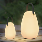 1 x RAW Customer Returns MALUX LED table lamp battery with remote control warm white 8 colors dimmable table lamp outdoor waterproof ideal decor for your home and garden 2 packs Easter decoration big small B silica gel  - RRP €68.56