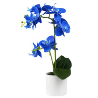 1 x RAW Customer Returns Olrla Blue Orchid Artificial Flowers in White Pot, Fake Real Orchid Flowers Decoration for Kitchen Bathroom Office Wedding Royal Blue 2  - RRP €21.62