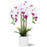 1 x RAW Customer Returns Olrla Artificial Orchid Flower Arrangement with 3 Branches in Pot, White and Purple Artificial Phalaenopsis Bonsai for Home Office Hotel Decoration, Table Decoration - RRP €30.24