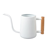 1 x RAW Customer Returns IMEEA 1L Indoor Watering Can Houseplants Modern Watering Can Smaller Potted Plants Stainless Steel Watering Can with Long Spout Comfortable Wooden Handle for Indoor Plants Plant Succulents Bonsai White  - RRP €28.99