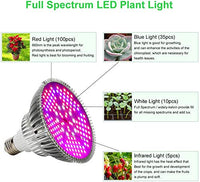 1 x RAW Customer Returns Esbaybulbs plant lamp LED 100W growth lamp grow light plant light full spectrum for indoor plants vegetables and flowers with E27 lamp socket - RRP €28.22