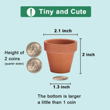 3 x Brand New Terracotta Flower Pots with Saucer - Clay Flower Pots with Drainage Ideal for Plants, Crafts, Wedding Gifts 2 inch Brown - RRP €55.38