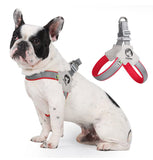 1 x Brand New Komate No Pull Dog Harness for Small Dogs Puppies Lightweight Breathable Dog Chest Harness Quick Fit and Escape Proof for Daily Walking Red, XL Chest Girth 62-72cm  - RRP €20.4