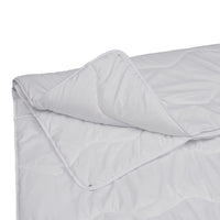 1 x RAW Customer Returns FAM Home - Duvet 135 x 200 cm, 4 Seasons, Consisting of 2 Buttoned Blankets, Anti-Allergy, for Allergy Sufferers, Summer Blanket 150 g m and Autumn Blanket 250 g m  - RRP €34.62