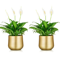 1 x RAW Customer Returns NUPTIO 2 Pack Plant Pot Gold Vase Metal Flower Pot Vase with Drainage Hole, Modern Storage Organizer Decorative Gifts for Wedding Indoor Outdoor Living Room Balcony Floor Display - RRP €24.18