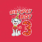 1 x RAW Customer Returns Paw Patrol - Birthday 3 Years Marshall Birthday Boy Children s Boys T-Shirt 104 Red - RRP €21.14