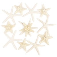 1 x RAW Customer Returns Jangostor 12pcs Starfish 5-15cm Mixed Starfish Natural Shells Starfish Star Fish Shells Decorations Perfect for Wedding Decor Beach Theme Party, Home Decorations, DIY Crafts - RRP €12.99