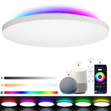 1 x RAW Customer Returns LUTW LED ceiling light dimmable 24W 2400LM, smart LED ceiling lamp RGB with remote control, color change controllable via app, compatible with Alexa and Google Assistant for living room bedroom 28CM - RRP €31.21