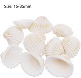 1 x RAW Customer Returns 100pcs Natural Seashells Small White Shells Bulk for Home Decorations Beach Theme Party Candle Making Decor Aquarium Vase Filler Craft DIY - RRP €10.99