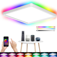 1 x RAW Customer Returns Eregou RGB LED ceiling light dimmable, 24W color changing ceiling lamp with remote control, LED panel for hallway, bedroom, living room, bathroom, kitchen, compatible with Alexa and Google Assistant - RRP €24.79