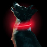 20 x Brand New LMLMD LED Dog Collar, USB Rechargeable, Glowing Pet Dog Collar for Night Safety, Fashion Light Up Dog Collar for Small Medium Large Dogs Red - RRP €233.8